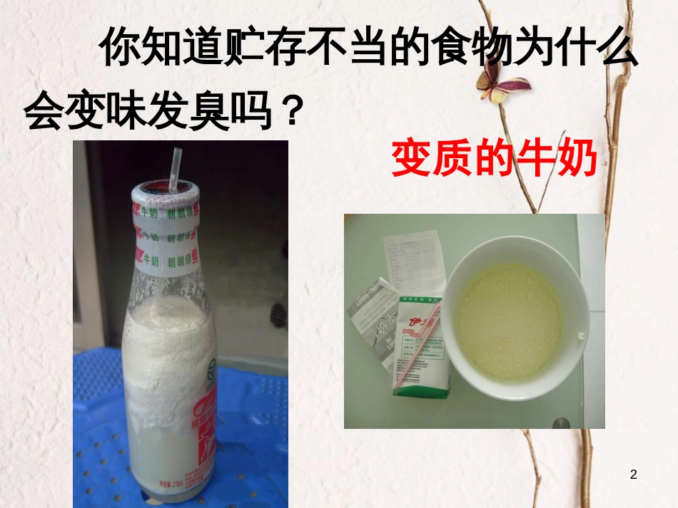七年级科学下册 1.6《细菌和真菌的繁殖》课件7 浙教版[共34页]_第2页