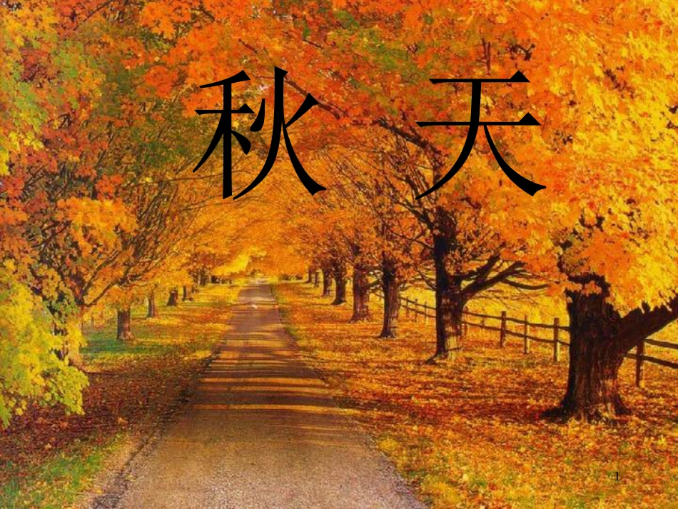 六年级语文上册 第16课 天课件2 鲁教版_第1页