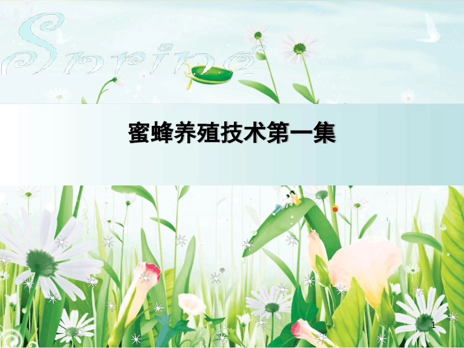 蜜蜂养殖技术ppt课件[共82页]_第1页