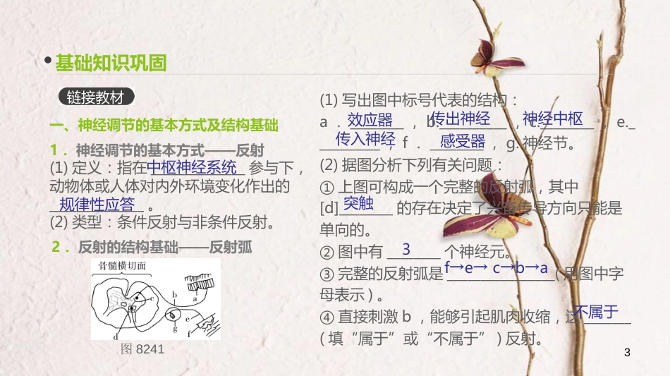 （全国）高考生物一轮复习（基础知识巩固+考点互动探究+考例考法直击+教师备用习题）第8单元 生命活动的调节 第24讲 人和高等动物的神经调节课件_第3页