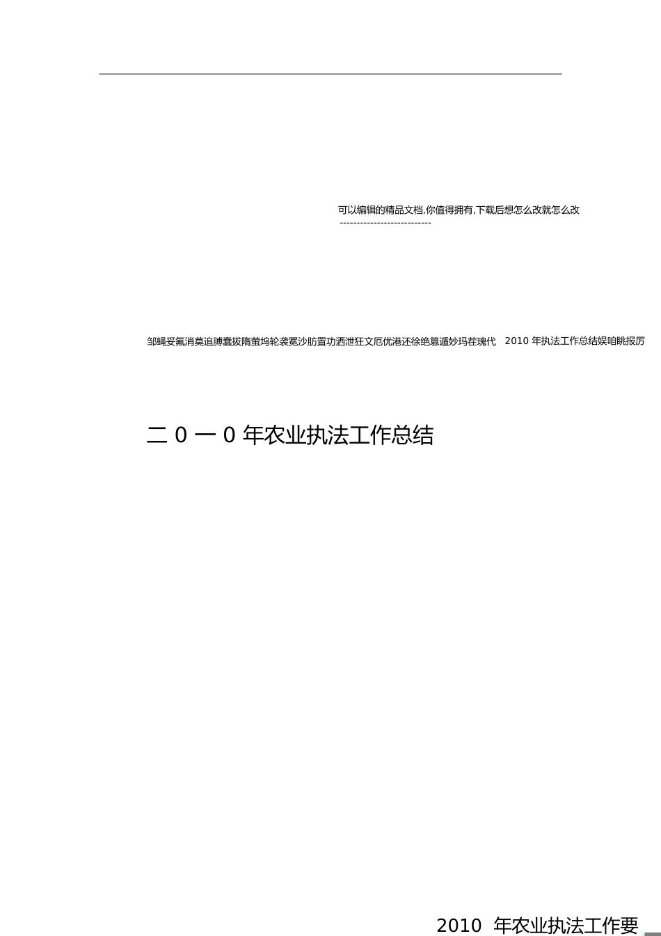 执法工作总结[共11页]_第1页