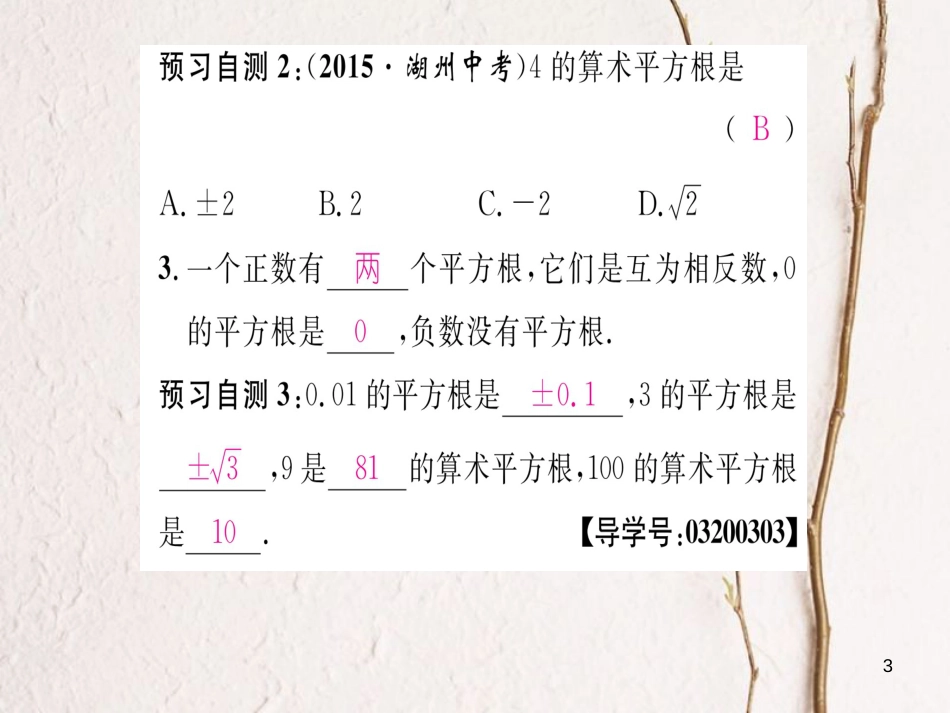 八年级数学上册 3.1 平方根、算术平方根（第1课时）课件 （新版）湘教版[共16页]_第3页