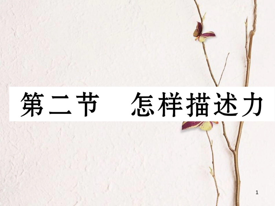 （云南专版）八年级物理全册 6.2 怎样描述力作业课件 （新版）沪科版_第1页