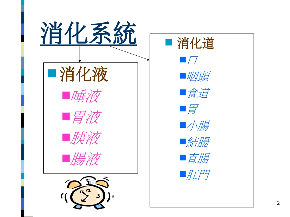 腸胃道疾病之飲食療養與預防保健_第2页