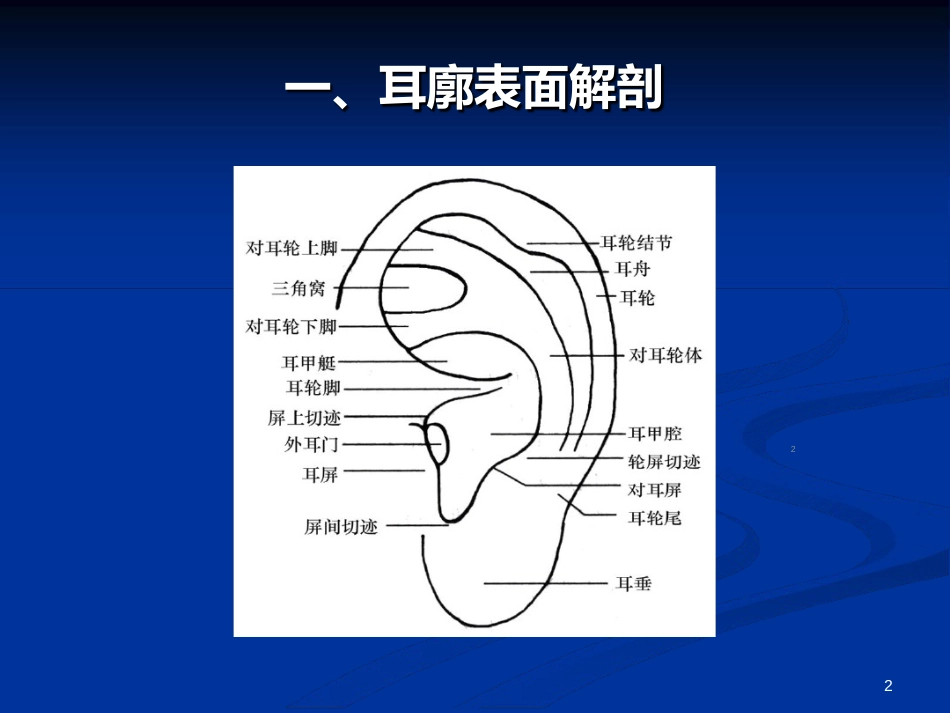 耳穴压豆演示ppt课件[共33页]_第2页