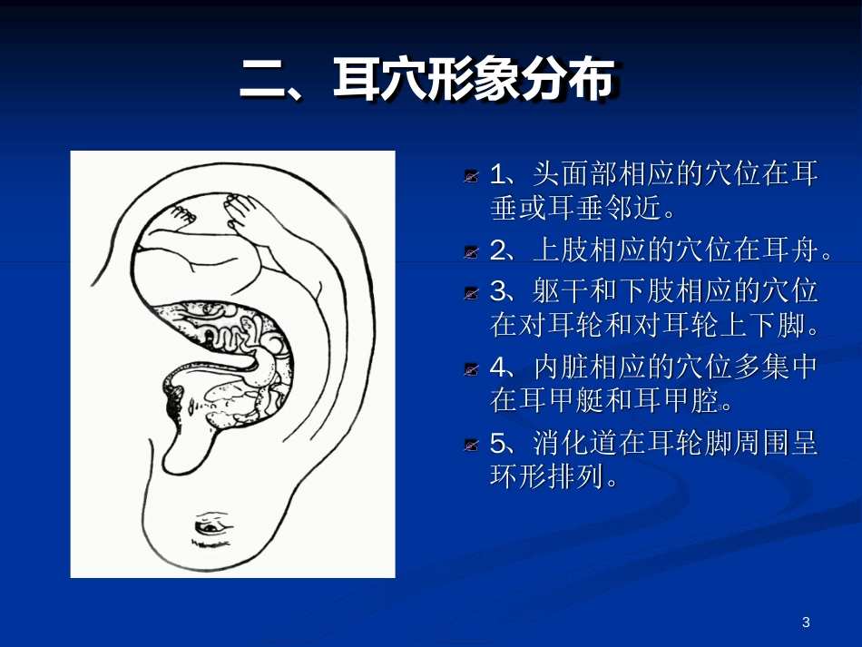 耳穴压豆演示ppt课件[共33页]_第3页