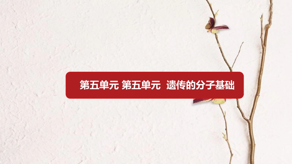 第五单元 遗传的分子基础 【复习课件】-2021年高考一轮生物单元复习一遍过_第1页