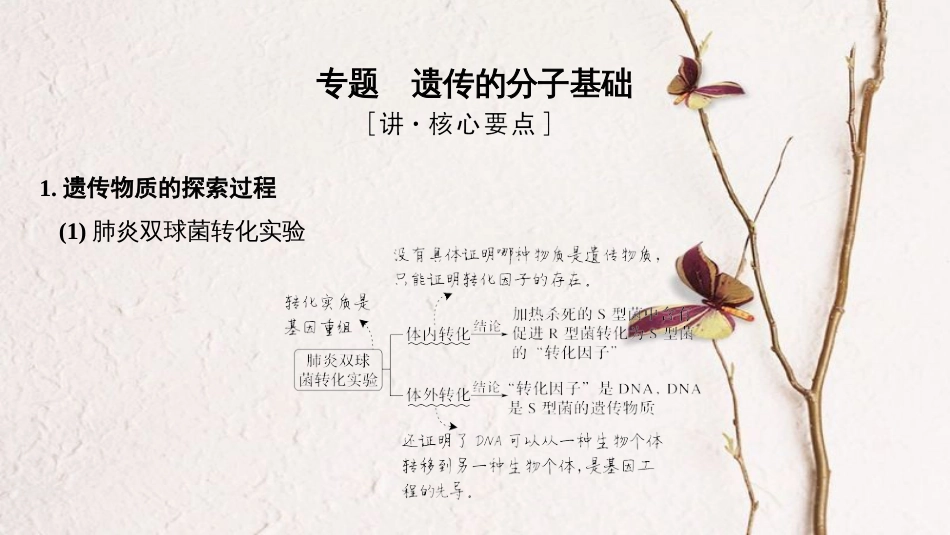 第五单元 遗传的分子基础 【复习课件】-2021年高考一轮生物单元复习一遍过_第3页
