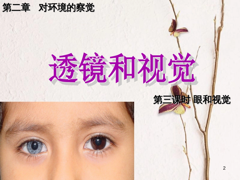 七年级科学下册 2.6《透镜和视觉》课件3 浙教版[共11页]_第2页