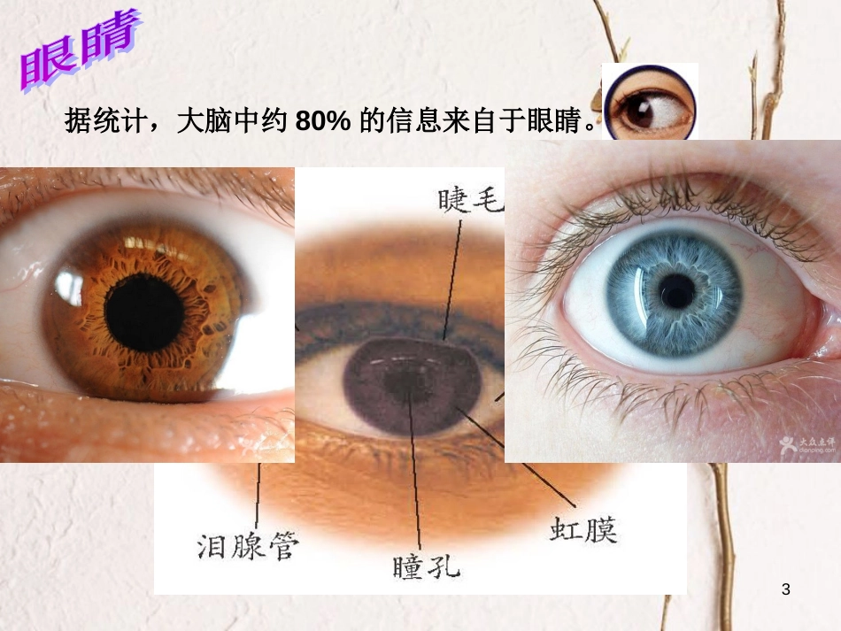 七年级科学下册 2.6《透镜和视觉》课件3 浙教版[共11页]_第3页