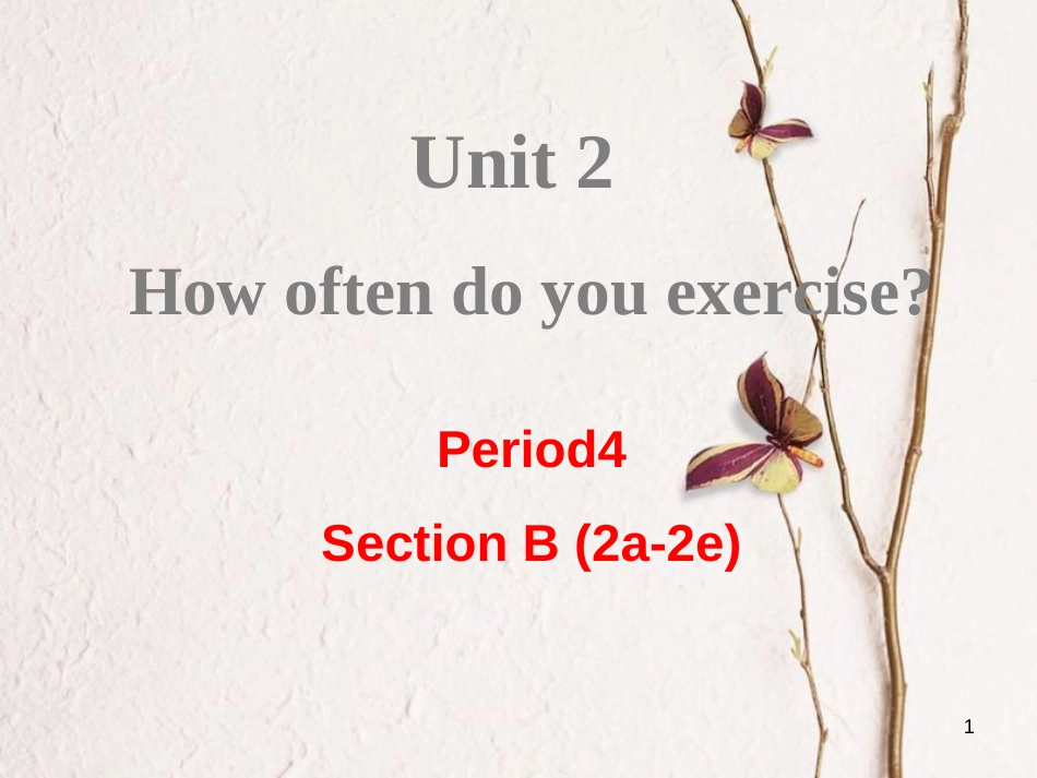 （成都专版）八年级英语上册 Unit 2 How often do you exercise Section B（2a-2e）教学课件 （新版）人教新目标版_第1页