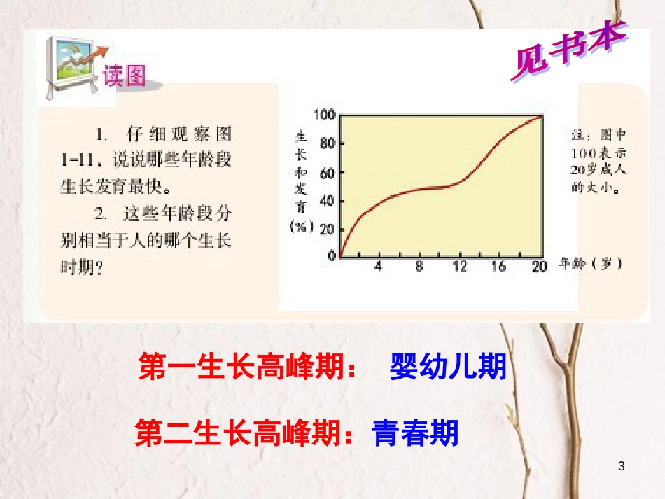 七年级科学下册 1.2《走向成熟》课件4 浙教版[共28页]_第3页