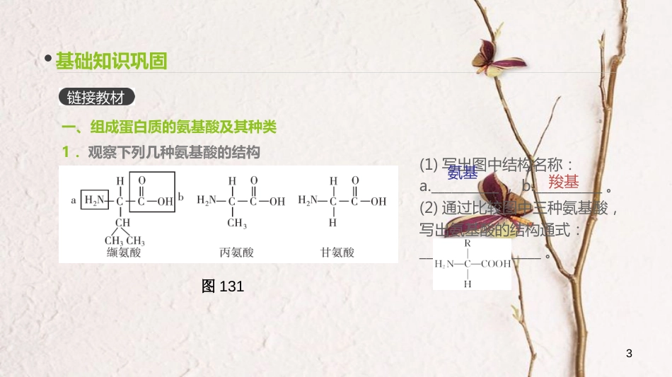 （全国）高考生物一轮复习（基础知识巩固+考点互动探究+考例考法直击+教师备用习题）第1单元 走近细胞与细胞的分子组成 第3讲 生命活动的主要承担者——蛋白质课件_第3页