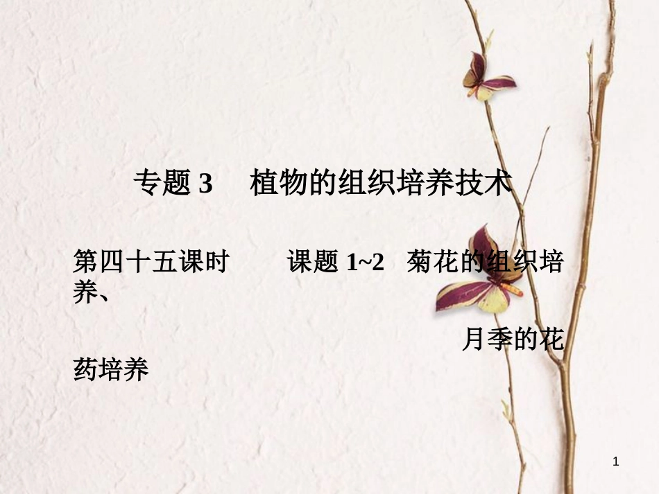 高考高考生物一轮复习 专题三 植物的组织培养技术（第四十五课时）课题1-2 菊花的组织培养、月季的花药培养课件 新人教版选修1_第1页