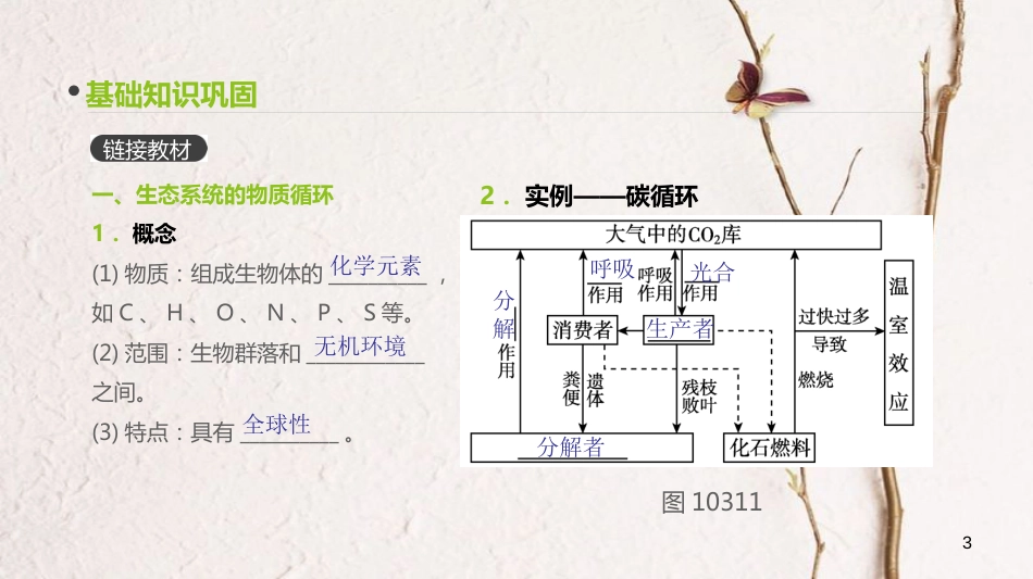 （全国）高考生物一轮复习（基础知识巩固+考点互动探究+考例考法直击+教师备用习题）第10单元 生态系统与生态环境的保护 第31讲 生态系统的物质循环、信息传递及稳定性课件_第3页