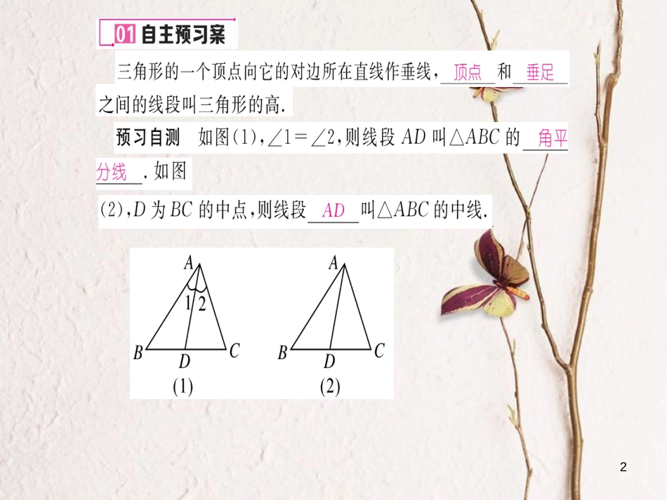 八年级数学上册 2.1 三角形课件2 （新版）湘教版[共17页]_第2页