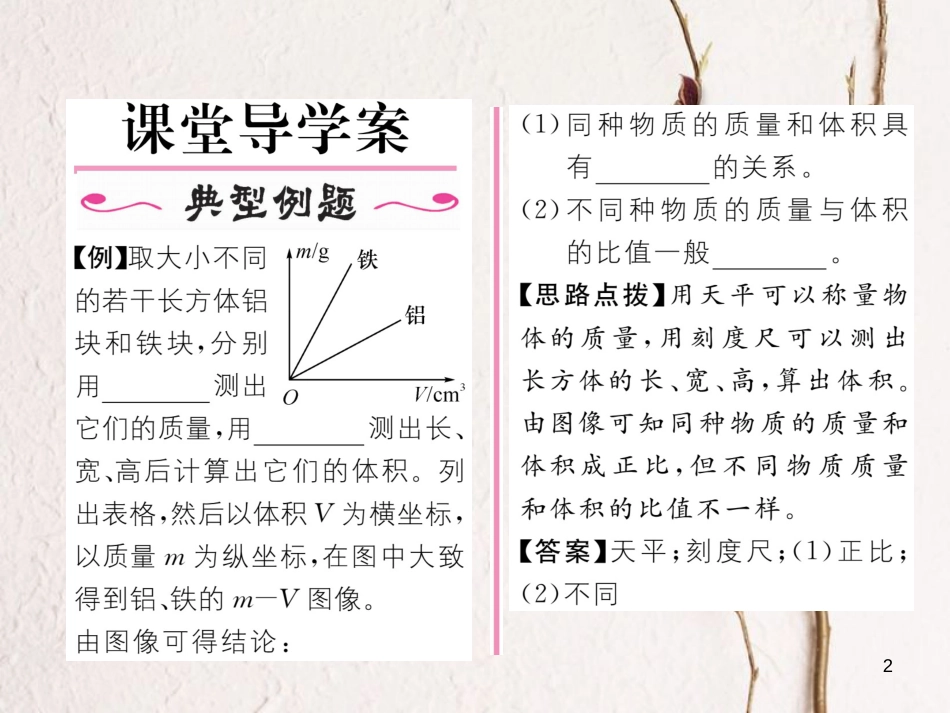 （云南专版）八年级物理全册 5.3 科学探究 物质的密度 第1课时 密度作业课件 （新版）沪科版_第2页