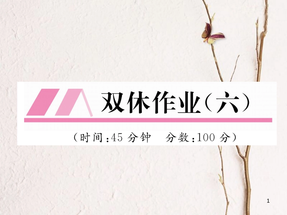 （云南专版）八年级物理全册 双休作业（六）课件 （新版）沪科版_第1页