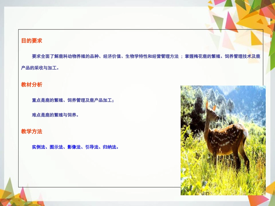 鹿的养殖[共113页]_第2页