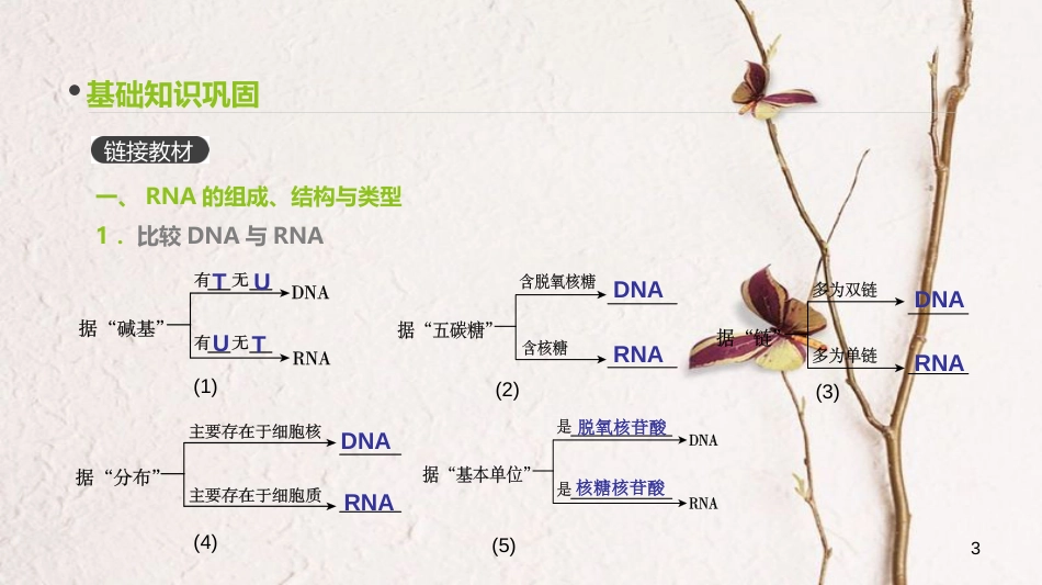 (全国)高考生物一轮复习(基础知识巩固+考点互动探究+考例考法直击+教师备用习题)第6单元 遗传的分子基础 第19讲 基因的表达课件_第3页