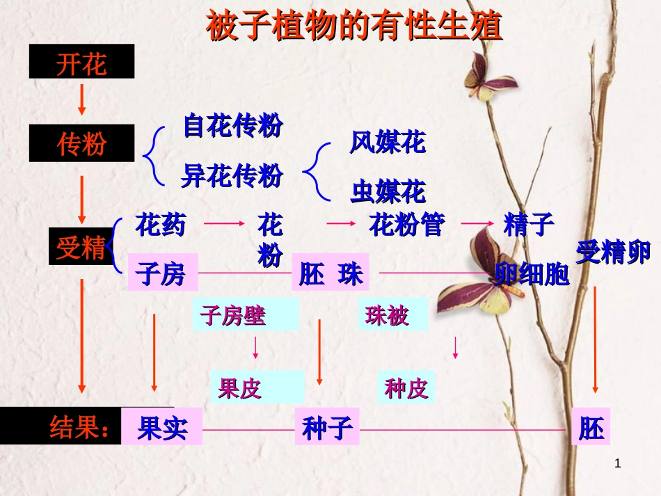 七年级科学下册 1.5《植物生殖方式的多样性》（第2课时）课件 浙教版[共10页]_第1页