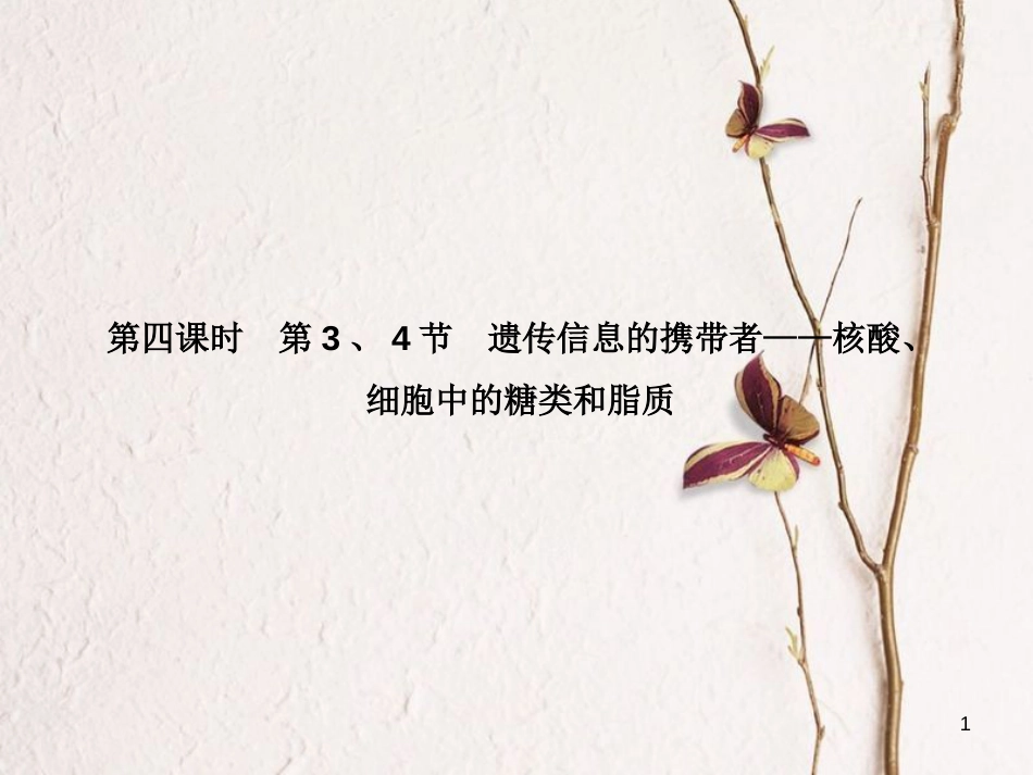高考高考生物一轮复习 第二章 组成细胞的分子（第四课时）第3、4节 遗传信息的携带者-核酸、细胞中的糖类和脂质课件 新人教版必修1_第1页