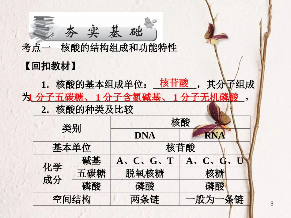 高考高考生物一轮复习 第二章 组成细胞的分子（第四课时）第3、4节 遗传信息的携带者-核酸、细胞中的糖类和脂质课件 新人教版必修1_第3页