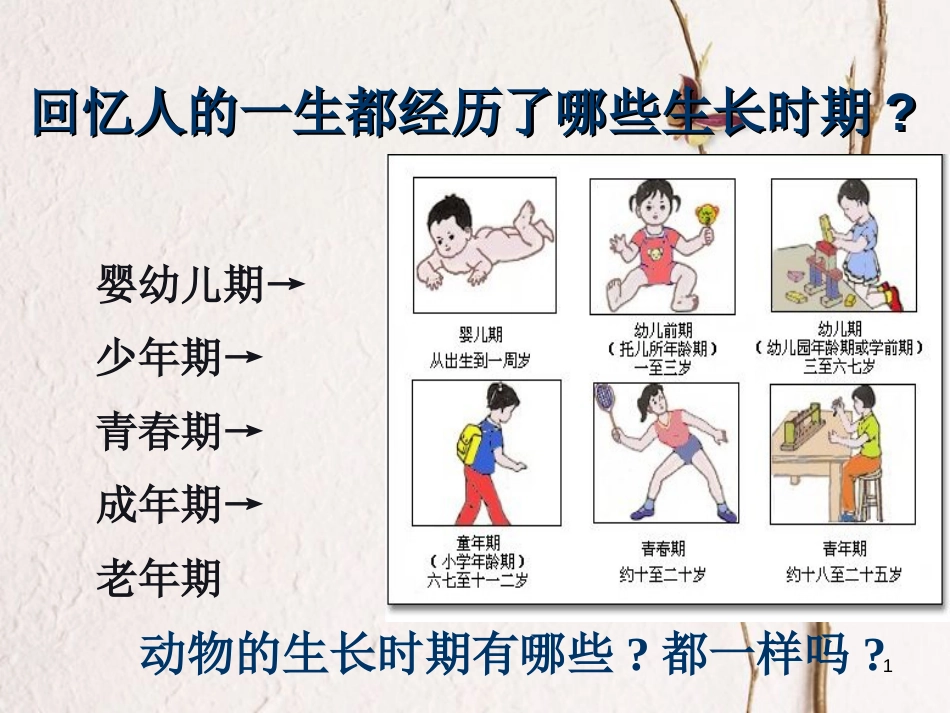 七年级科学下册 1.3《动物的生长时期》课件3 浙教版[共52页]_第1页