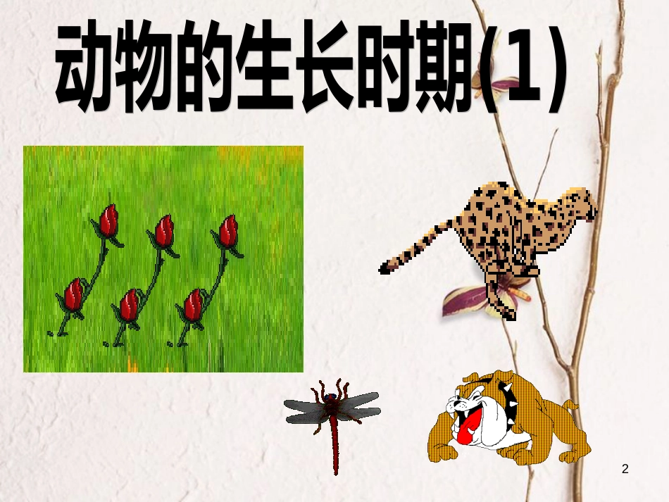 七年级科学下册 1.3《动物的生长时期》课件3 浙教版[共52页]_第2页