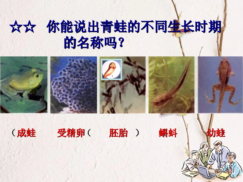 七年级科学下册 1.3《动物的生长时期》课件3 浙教版[共52页]_第3页