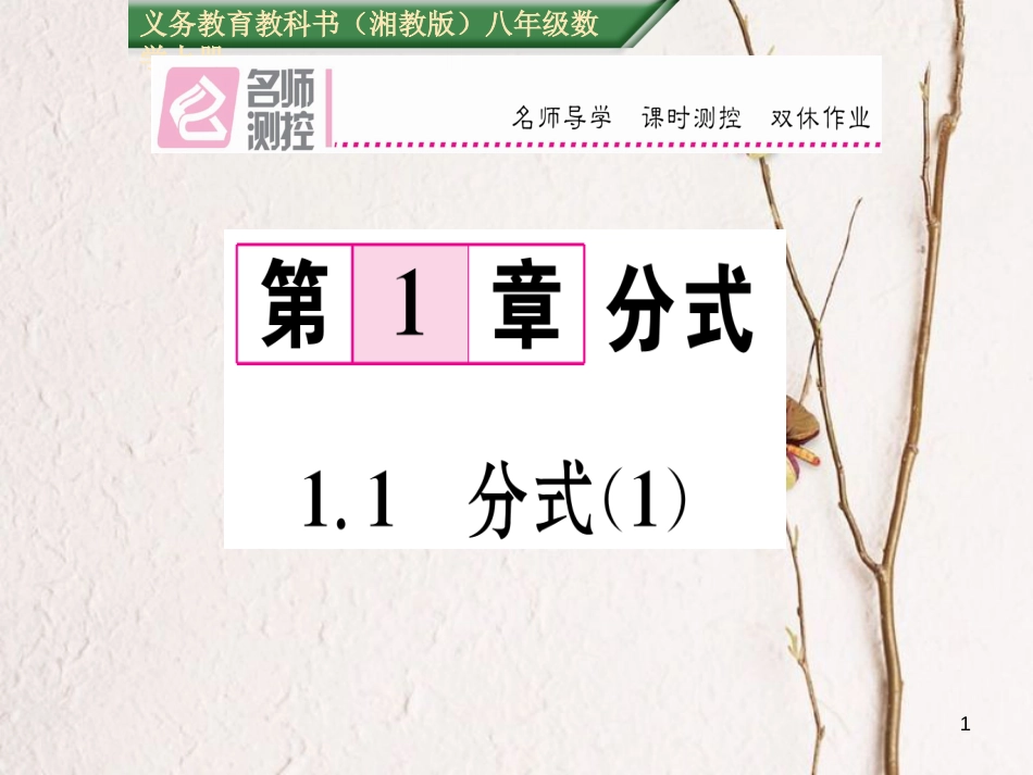 八年级数学上册 1.1 分式课件1 （新版）湘教版[共15页]_第1页