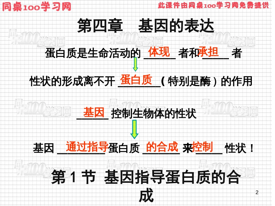 第1节 基因指导蛋白质的合成第四章 基因的表达_第2页