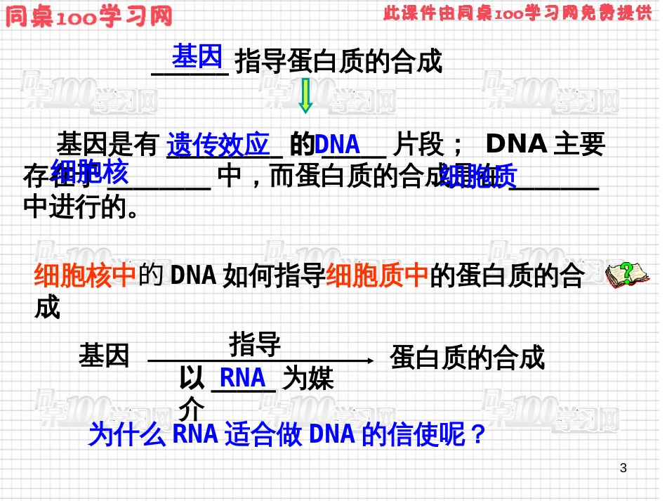 第1节 基因指导蛋白质的合成第四章 基因的表达_第3页