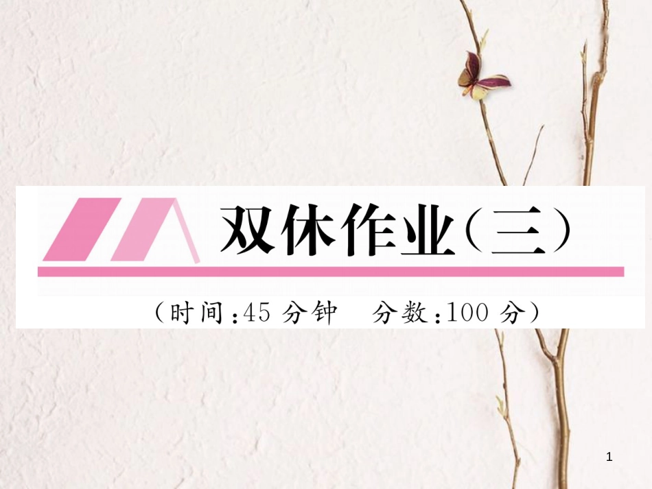 （云南专版）八年级物理全册 双休作业（三）课件 （新版）沪科版_第1页