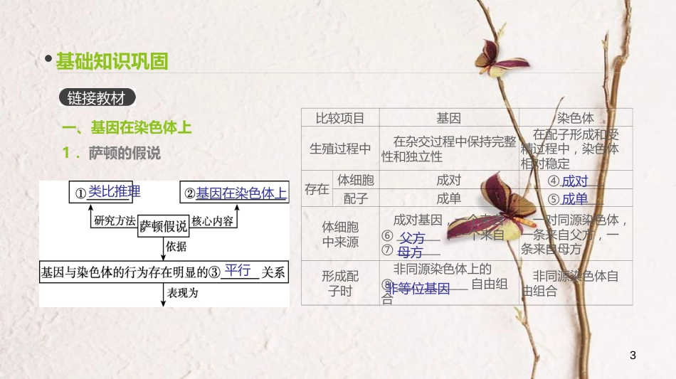 （全国）高考生物一轮复习（基础知识巩固+考点互动探究+考例考法直击+教师备用习题）第5单元 遗传的基本规律和遗传的细胞基础 第16讲 伴性遗传和人类遗传病课件_第3页