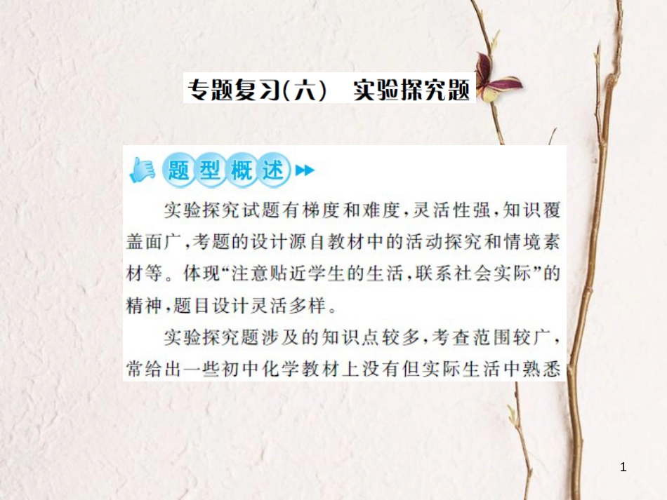 中考化学总复习 第二篇 专题突破 提升能力 专题复习（六）实验探究题课件[共48页]_第1页