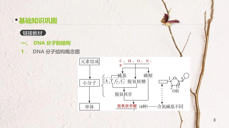 （全国）高考生物一轮复习（基础知识巩固+考点互动探究+考例考法直击+教师备用习题）第6单元 遗传的分子基础 第18讲 DNA分子的结构、复制及基因的本质课件_第3页