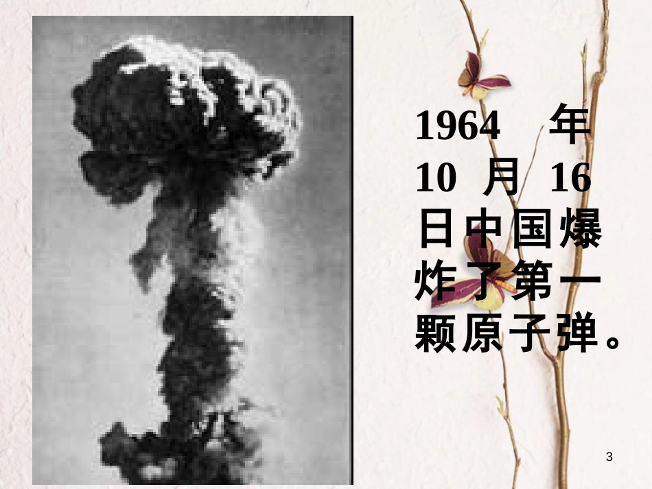 七年级语文上册 7《邓稼先》课件 鲁教版五四制_第3页