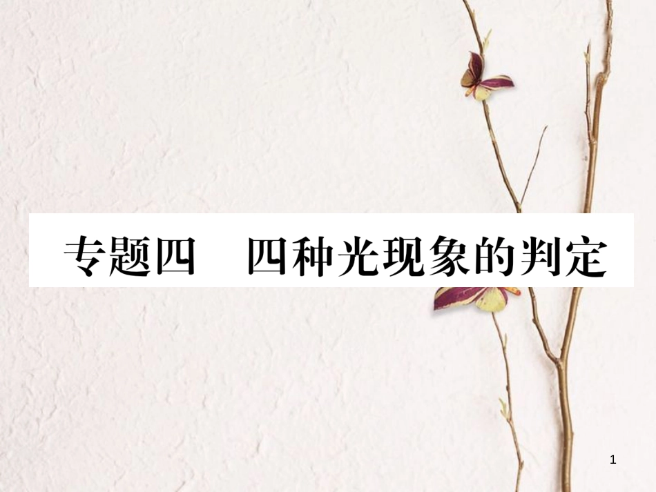 （云南专版）八年级物理全册 专题四 四种光现象的判定作业课件 （新版）沪科版_第1页