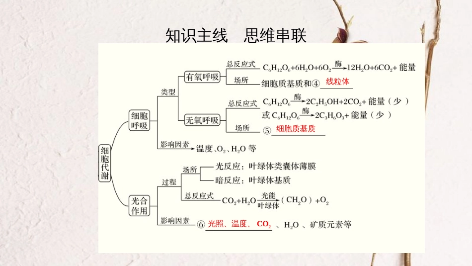 第三单元 光合作用与细胞呼吸构【复习课件】-2021年高考一轮生物单元复习一遍过_第2页