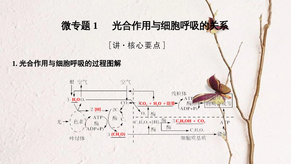 第三单元 光合作用与细胞呼吸构【复习课件】-2021年高考一轮生物单元复习一遍过_第3页