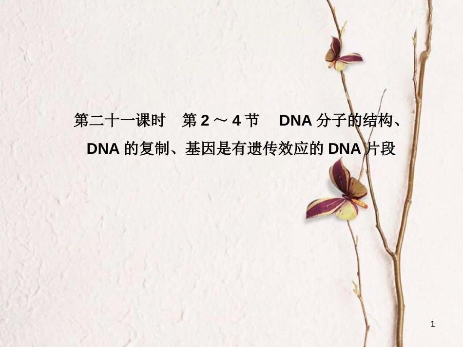 高考高考生物一轮复习 第三章 基因的本质（第二十一课时）第2～4节 DNA分子的结构、课件 新人教版必修2_第1页