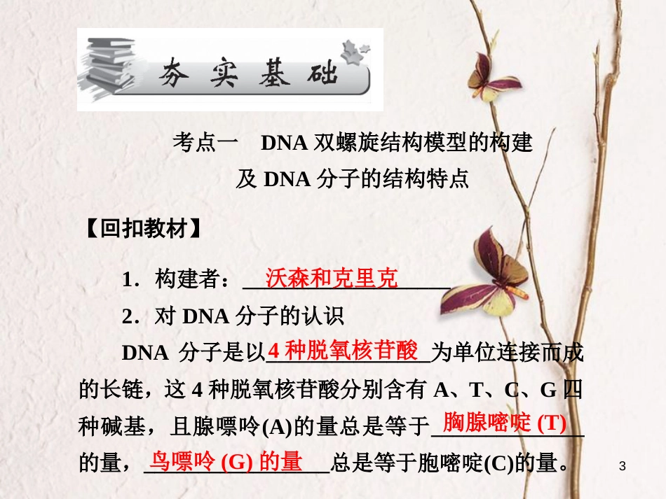 高考高考生物一轮复习 第三章 基因的本质（第二十一课时）第2～4节 DNA分子的结构、课件 新人教版必修2_第3页