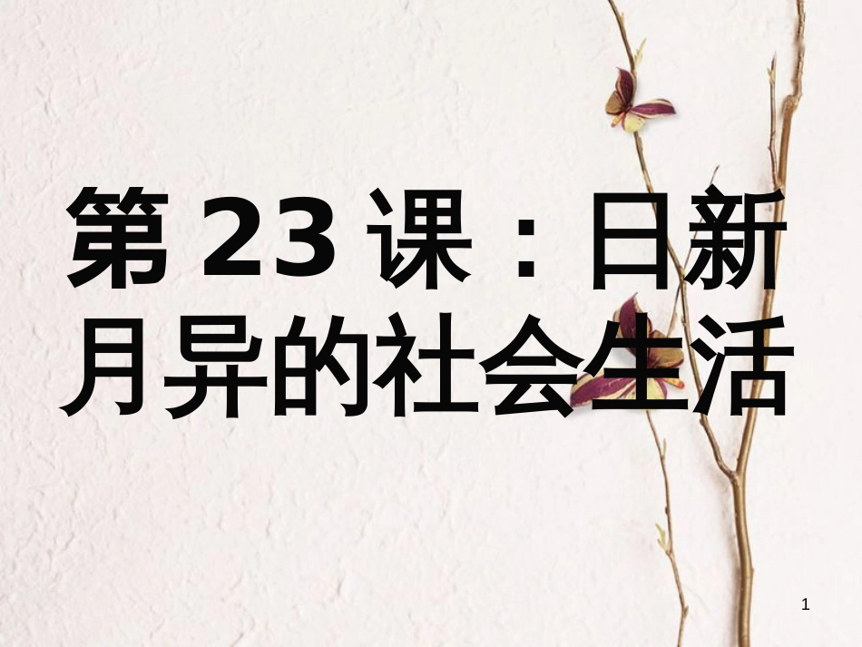 八年级历史下册 第六单元 第23课 日新月异的社会生活课件 岳麓版[共25页]_第1页