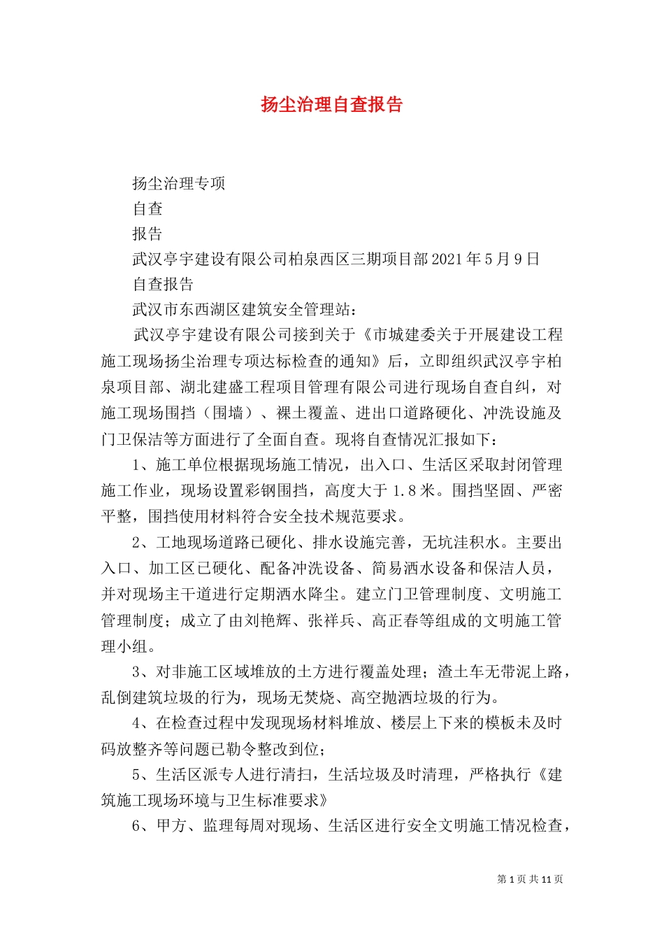 扬尘治理自查报告_第1页