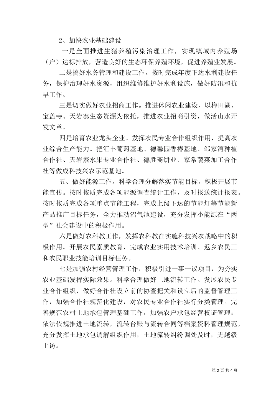 农业农村工作计划（一）_第2页