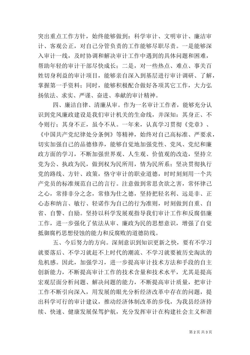 年度审计工作总结（二）_第2页