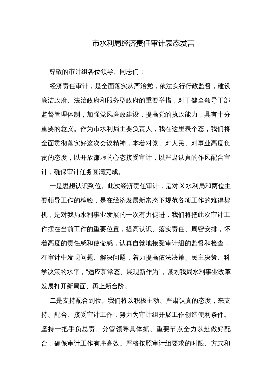 市水利局经济责任审计表态发言_第1页