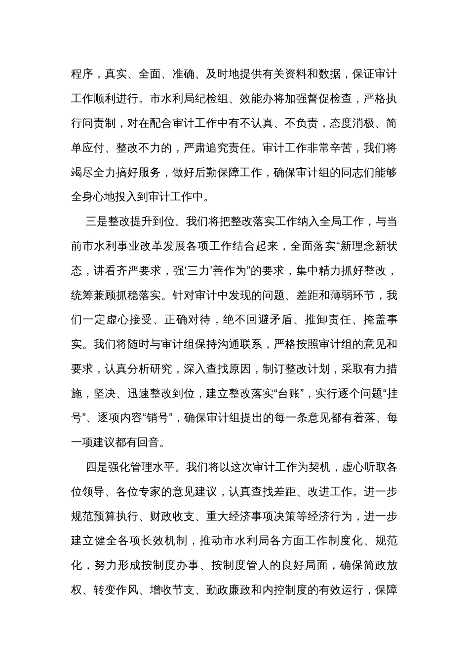 市水利局经济责任审计表态发言_第2页