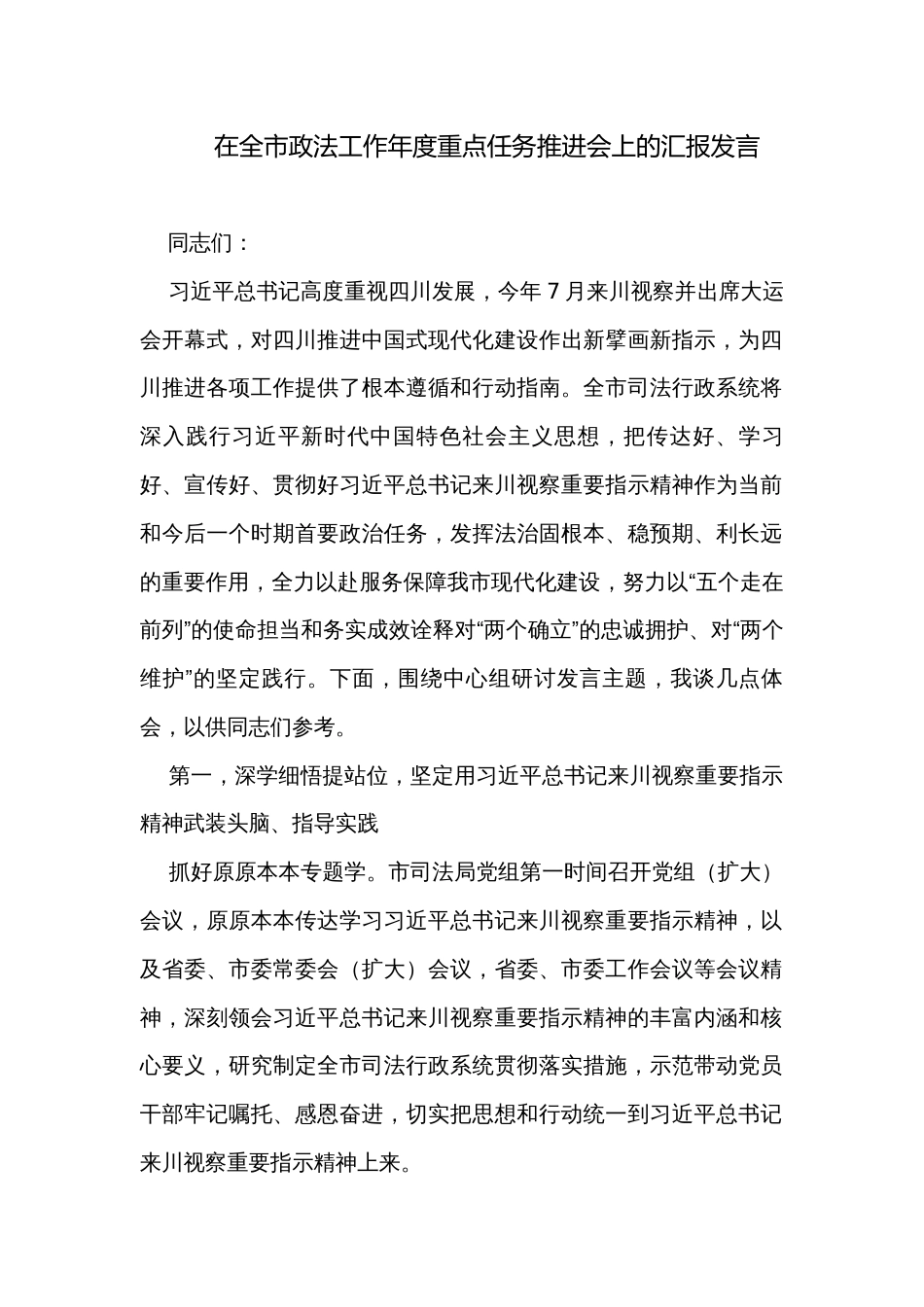 在全市政法工作年度重点任务推进会上的汇报发言_第1页